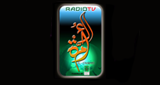 Radio Ummah FM
