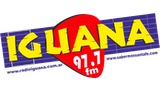 Radio Iguana