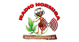 Radio Hormiga.us