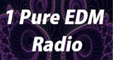 1 Pure EDM Radio