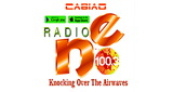 Radio NE FM100.3  